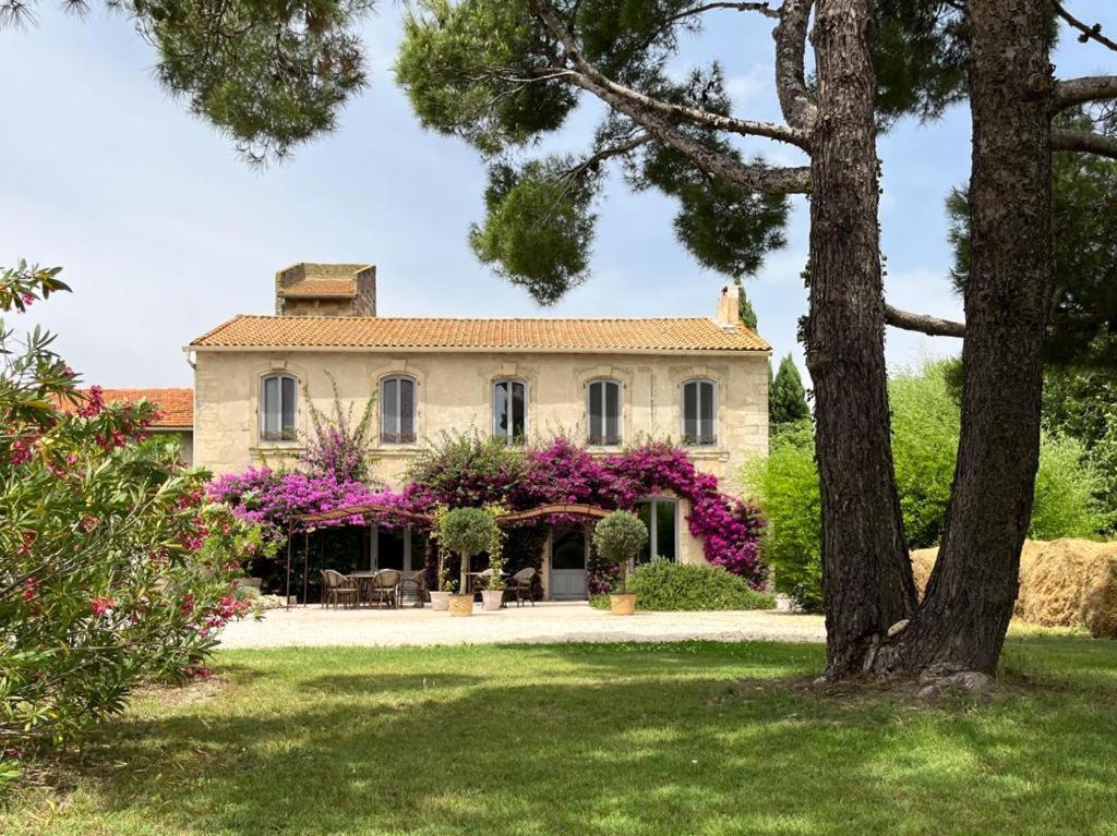Maison Tara Verte Au Mas Montredon Arles Exterior photo